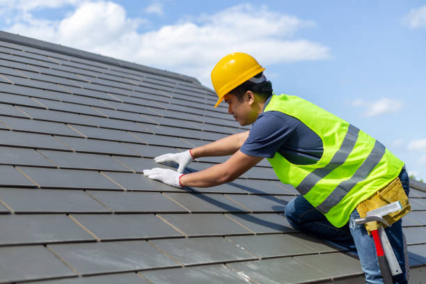 Best Best Roofing Contractors  in Ellijay, GA