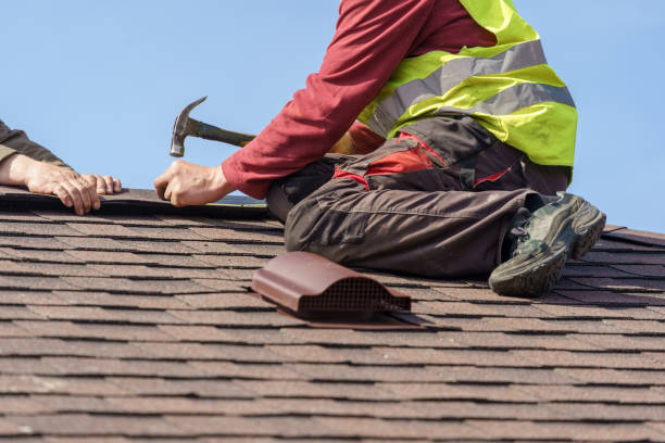 Best Local Roofing Companies  in Ellijay, GA