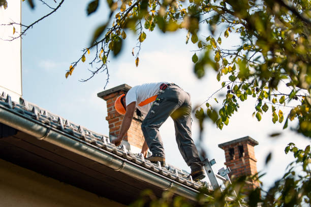 Quick and Trustworthy Emergency Roof Repair Services in Ellijay, GA