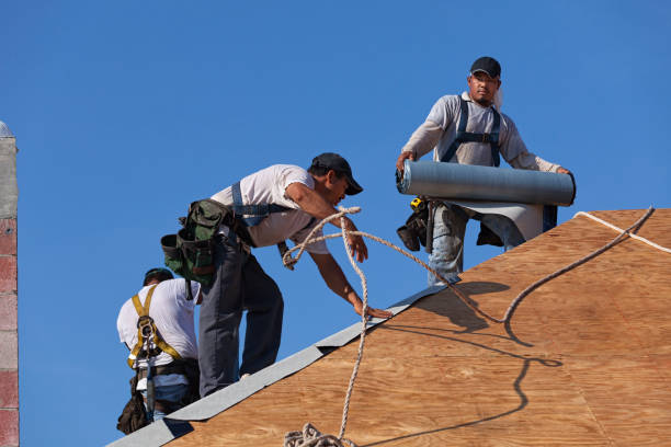 Best New Roof Installation  in Ellijay, GA