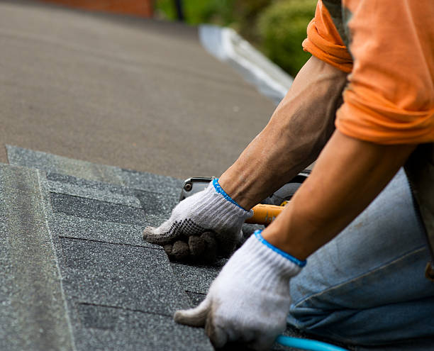 Gutter Installation and Roofing in Ellijay, GA